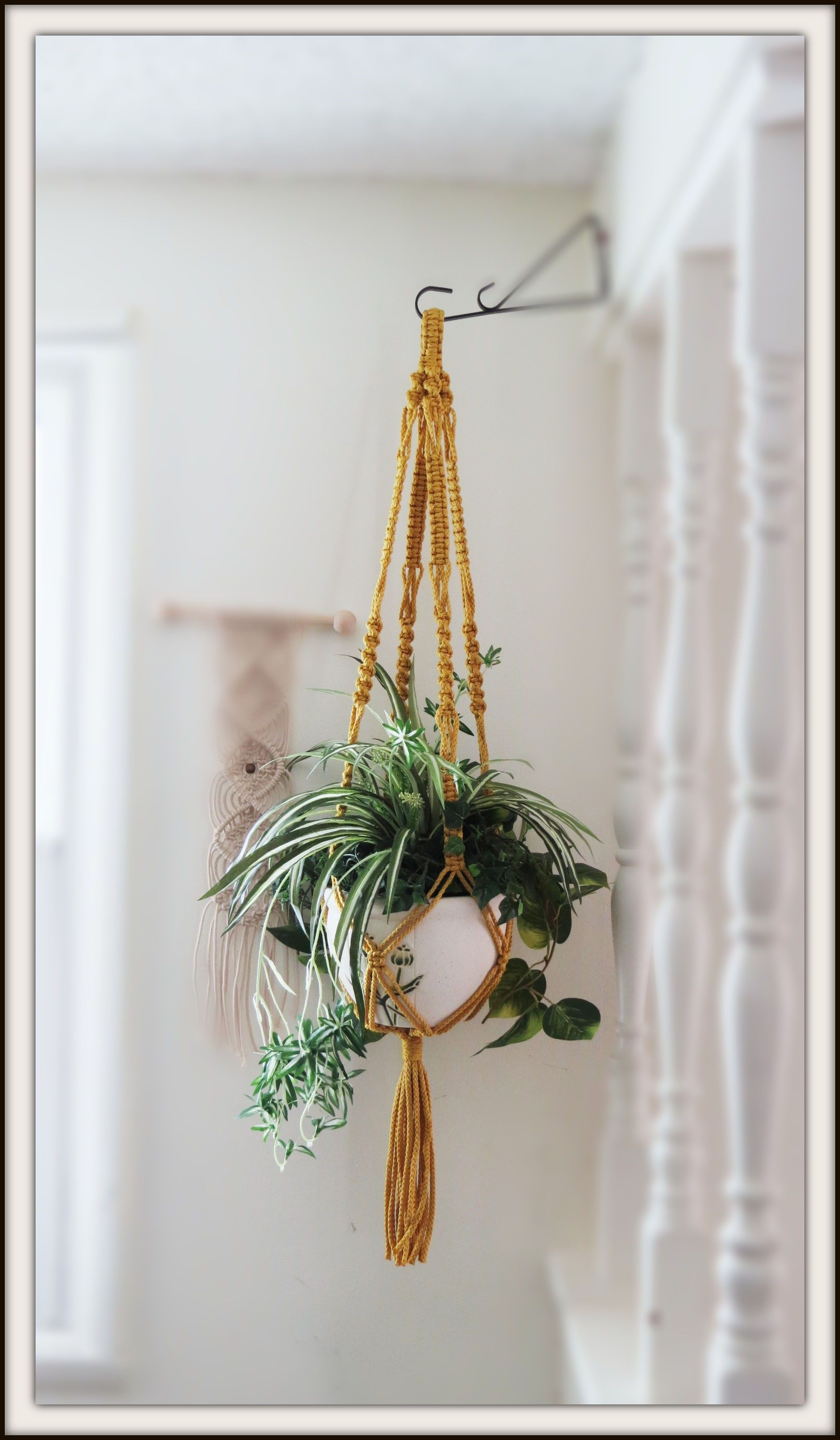 Home Decor Cotton Rope Handmade Macrame Plant Hanger Indoor Flower Pot Hanger Wall Hanging Planter Holder for Courtyard Garden