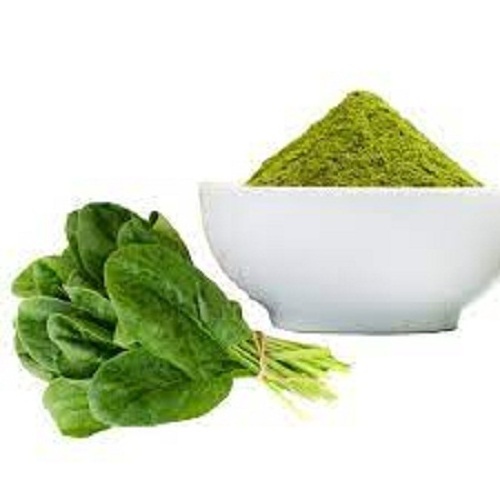 Wholesale Pure Natural Super Food Spinach Powder Spinach Juice Powder with No Additives