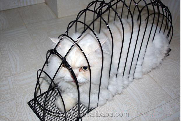 Black Iron Wire Dedicated Transport Bath Pets Cat Safe Gird Separation Cage