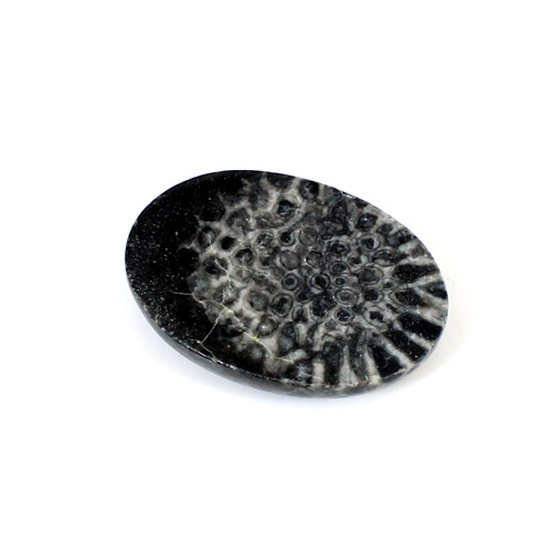 Natural Black Coral Oval Cabochon Loose Gemstone 19.80 Cts 24x17mm Ishu Gems 19.80cts IG16660