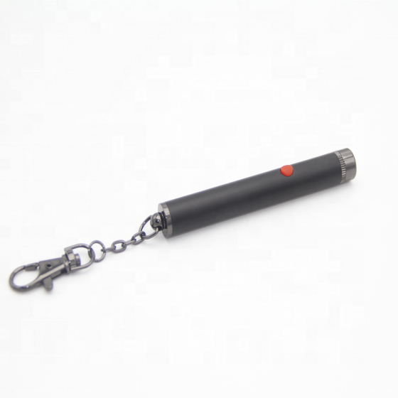 high quality single dot red laser pointer 635nm    with keychain for teaching/meeting/tour-guiding