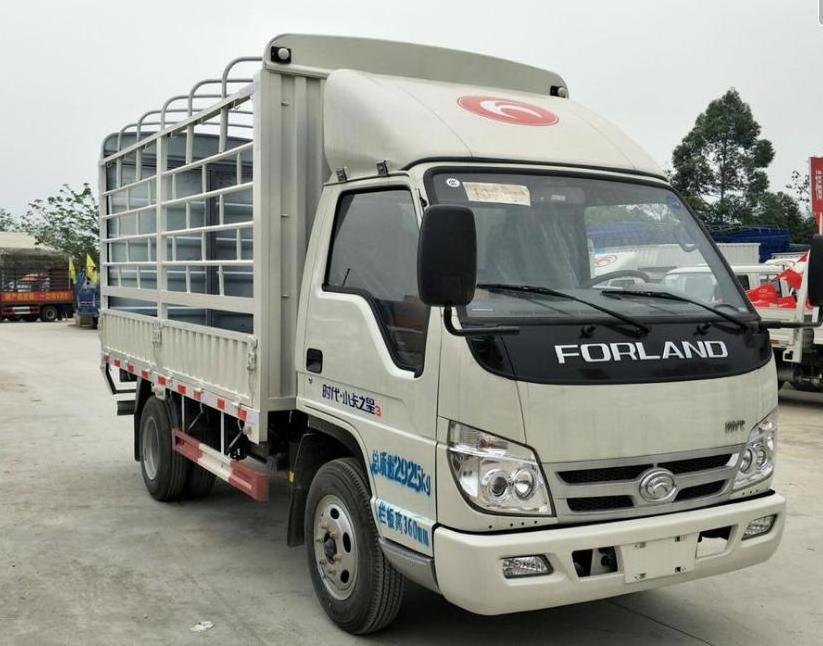 3 tons 4x4 4x2 drive Forland small fence truck tent truck for cargo transport in Kazakhstan Kyrgyzstan