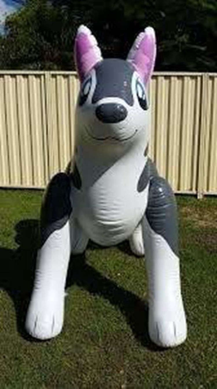 Customized PVC inflatable husky dog /Lovely Inflatable Husky Cartoon Toy /Advertising Promotion Inflatable Standing Husky Dogs