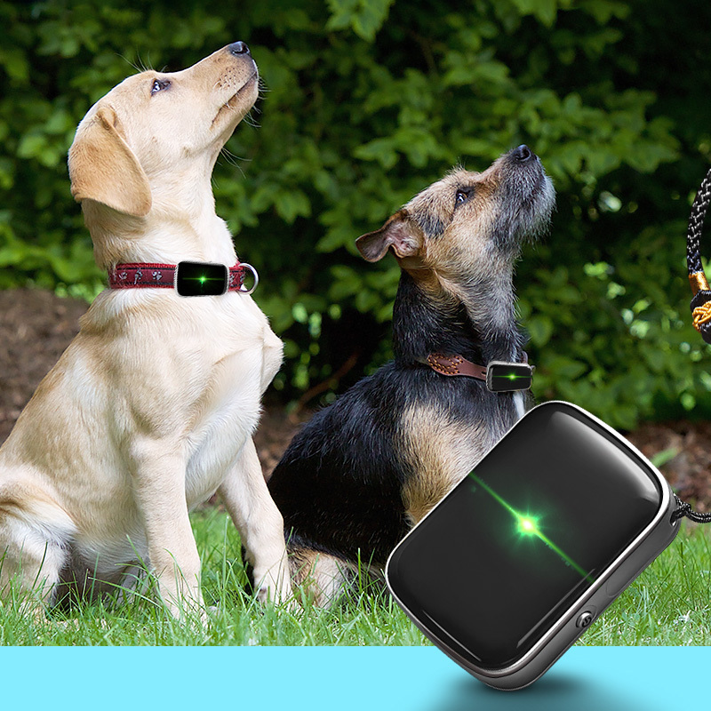 ready to ship 1000mah waterproof silicon DIY small cat hunting dog locator pet GPS tracker collar