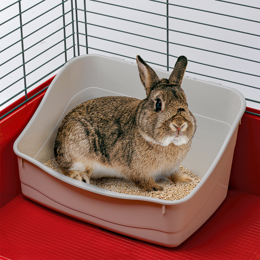 Ferplast L 305 Rabbit Toilet litter tray for rodent cages rabbits and small animals, Hygienic, 37 x 27 x h 18,5 cm