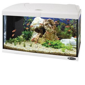 Ferplast Capri 60 LED - 60 L. Glass Aquarium with LED Lamp, Internal Filter and Heater. 2 Colours.