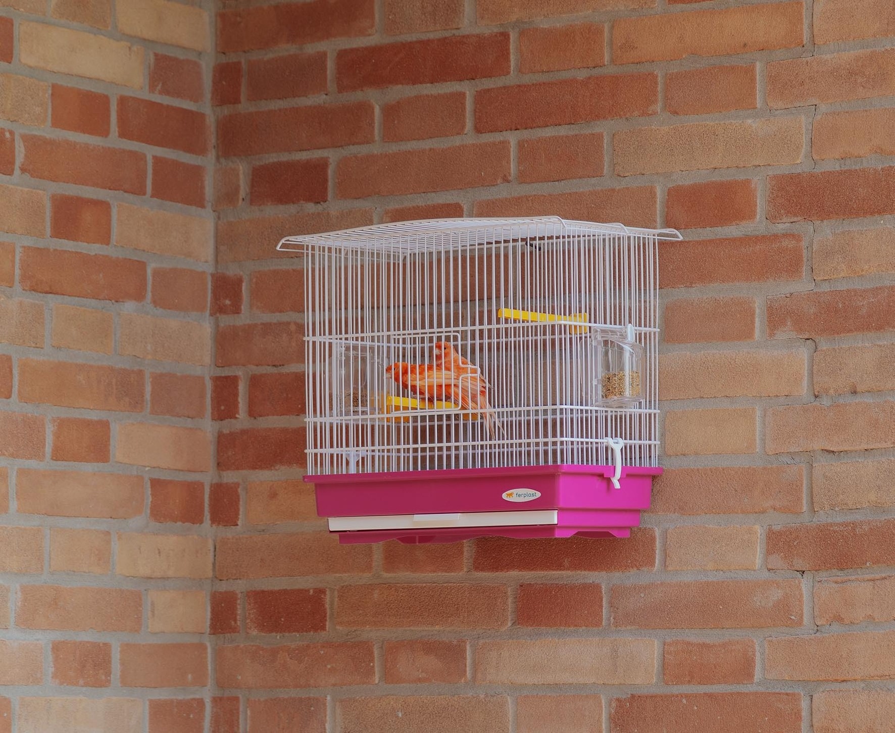 Ferplast GIUSY Canary and Small Exotic Bird Cage