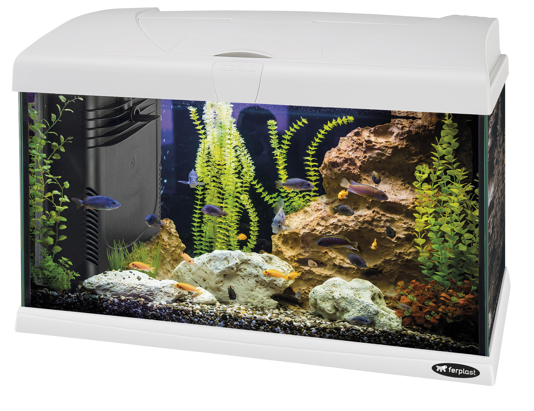 Ferplast Capri 50 LED - 40 L. Glass Aquarium with LED Lamp, Internal Filter and Heater. 2 Colours.