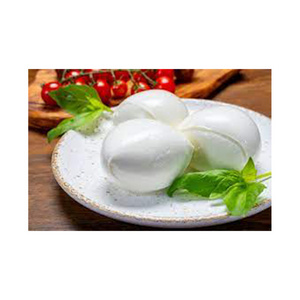 High Quality Fresh Best Dairy Products White 125 Grams Fresh Cow Mozzarella Cheese For Export