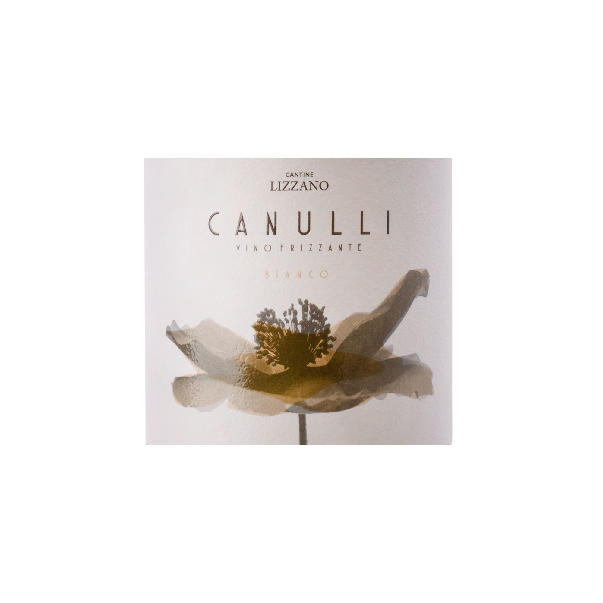 Italian Top Quality Canulli Bianco Sparkling Wine for sale