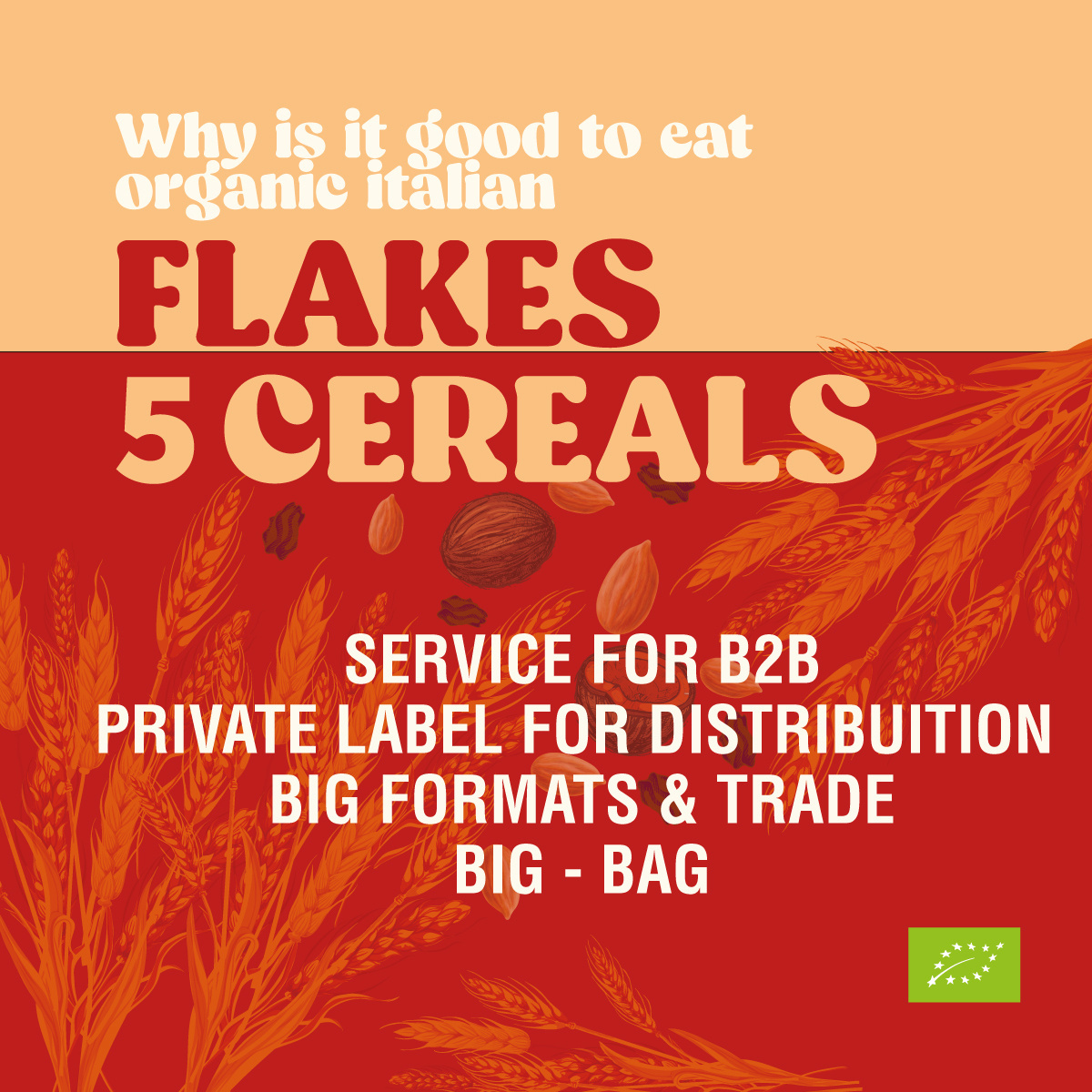 WholeSale Five Cereal Flakes Organic Bio Cereal Breakfast Italian High Quality Product Private Label