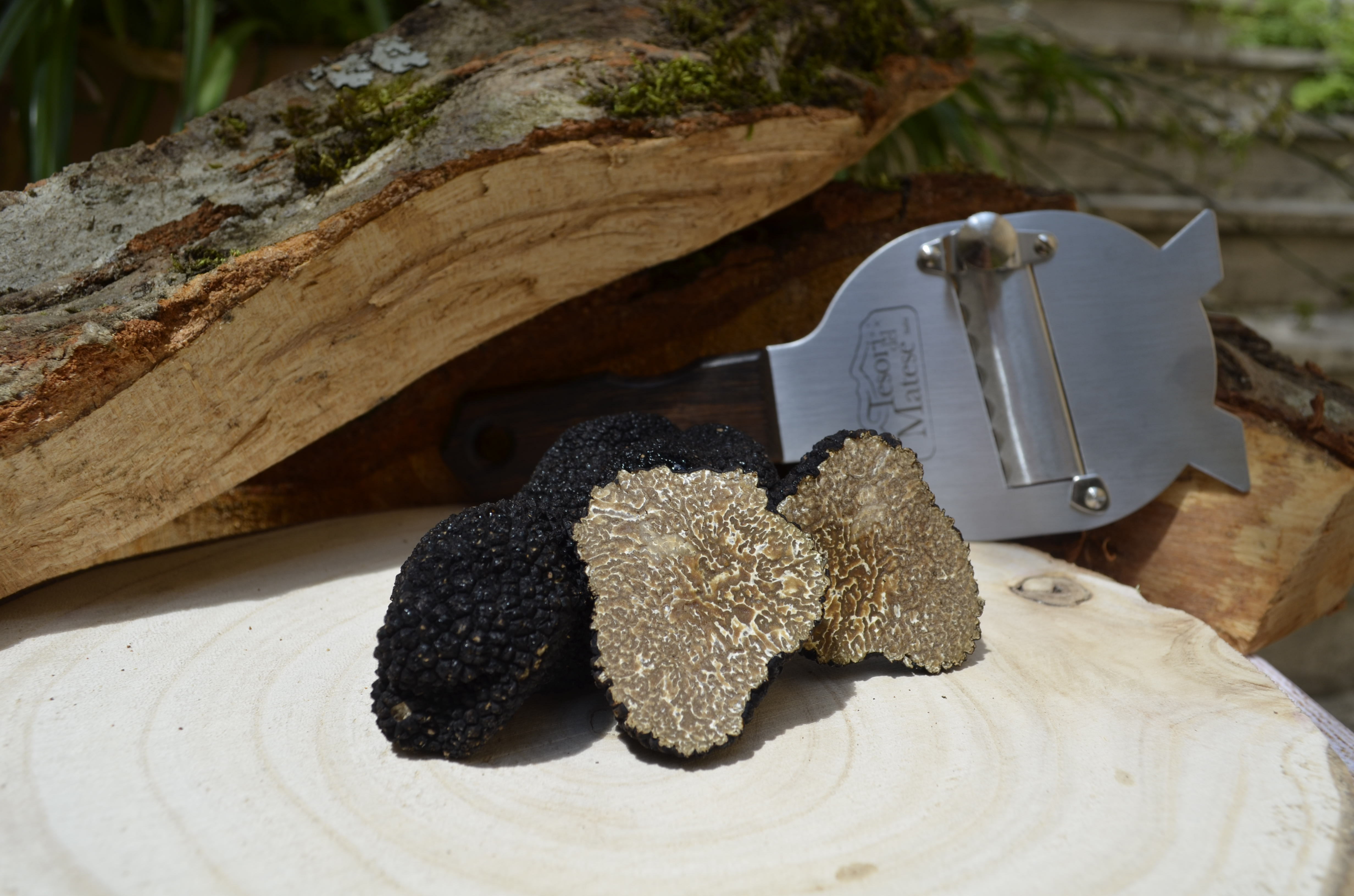 High Quality Handcrafted Luxury Minced Truffle in Olive Oil 500g Glass Jar Packaging Made in Italy for Wholesale