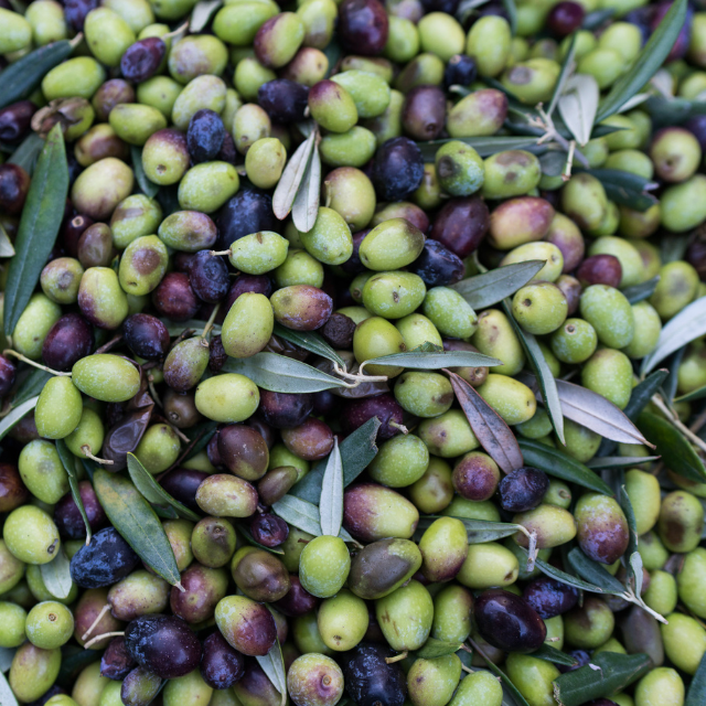 ITALIAN OLIVE OIL CONSISTING OF REFINED OLIVE OILS AND EXTRA VIRGIN OLIVE OILS MASTURZO TINNED 5 L FOR ALL COOKING PURPOSES