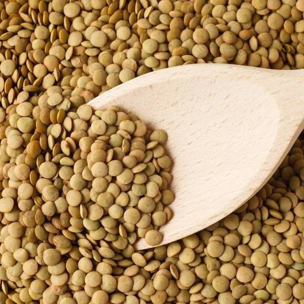 High Quality Italian Food Green Dry Lentils Melandri No soaking Ready In 20 Minutes Dry Lentils 200 gr Supply price