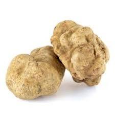 hight quality italian aroma white truffle lipo for cooking Vi.Sa. srl top flavouring flavour amazing hot