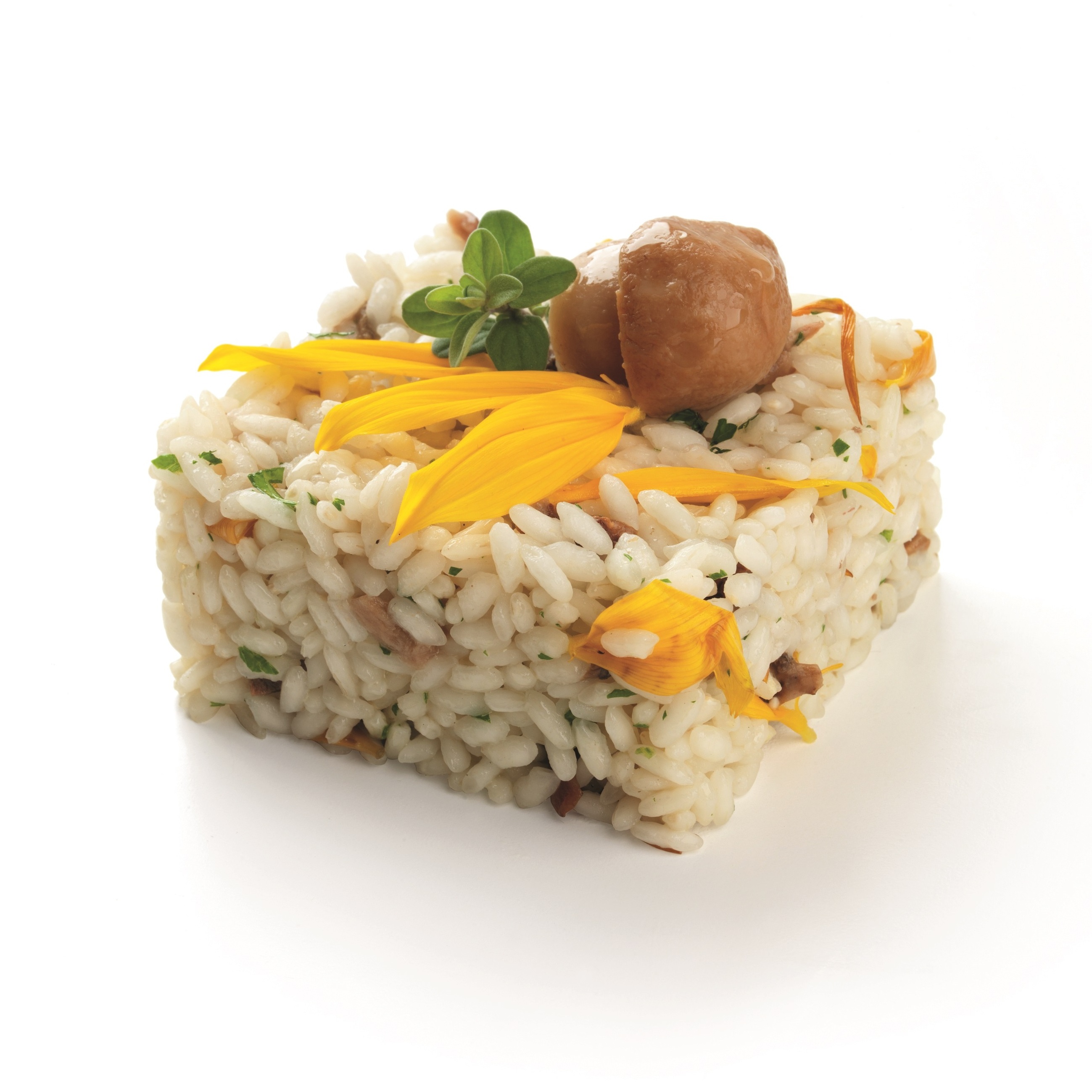 Premium quality RISOTTO RICE ready to cook with Porcini Mushrooms for restaurant or everyday dishes