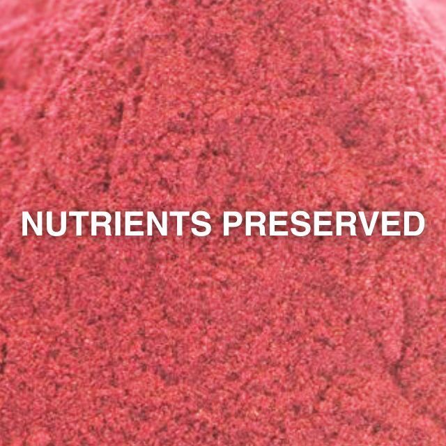 Made in Italy Bulk Wholesale Nutrient Natural Superfood Healthy Freeze Dried Red Currant Powder