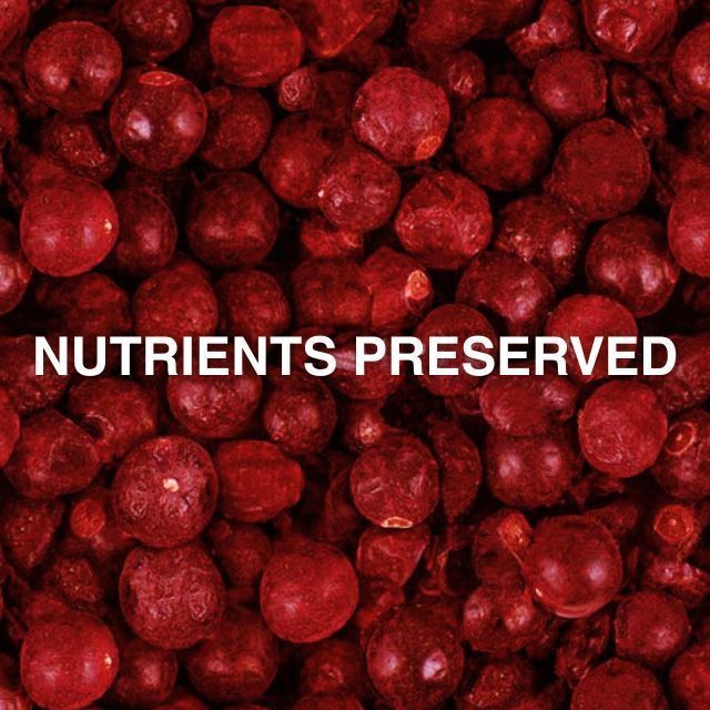 Made in Italy Bulk Wholesale Nutrient Natural Crunchy Healthy Snack Freeze Dried Red Currant Whole Pieces