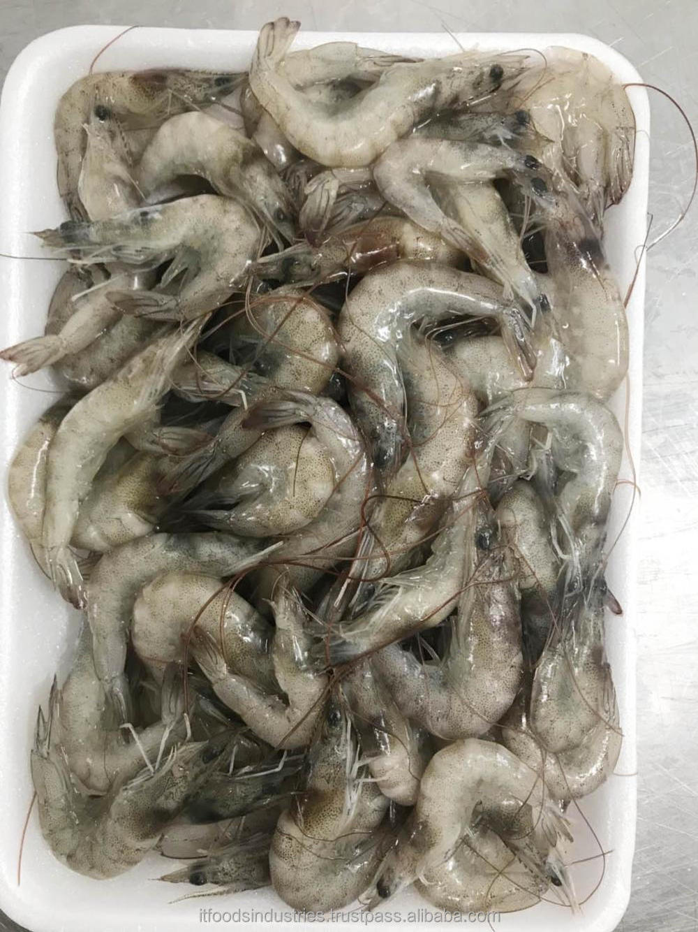 Frozen Freshwater Shrimp (Litopenaeus vannamei)