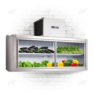 Intelligent Temperature Control Wall Mounted Freezers Wall Hanging 2 Door Stainless Steel Refrigerator