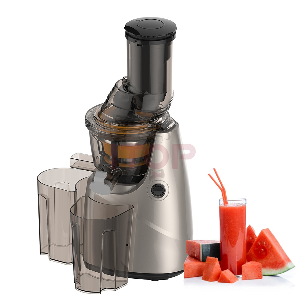 Cold Press Commercial Slow Juicer 220V/50Hz Mabagal na Juicer Extractor 250W Cold Press Multifunctional Slow Juicer