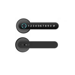 TTLock Fingerprint Lock Level Fingerabdruck Turgriff Smart Lock Phone APP Control RFID card door handle