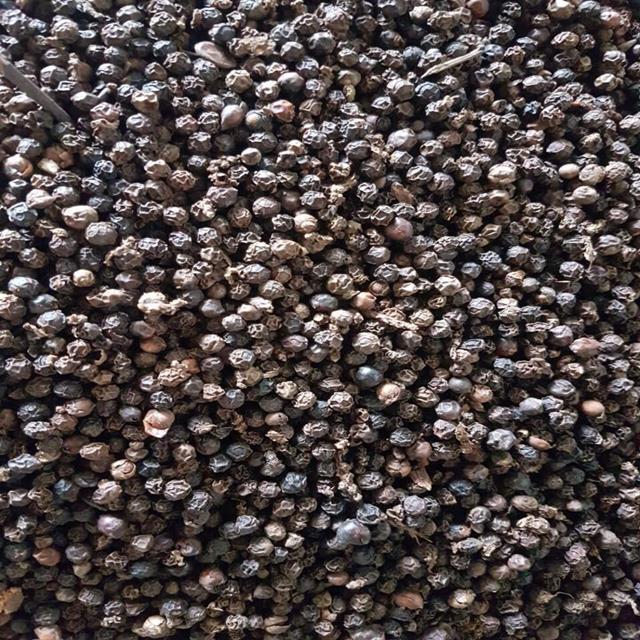 Black Pepper 550G/L Machine Cleaned - New Arrival Product Good Price Ready To Ship From Vietnam