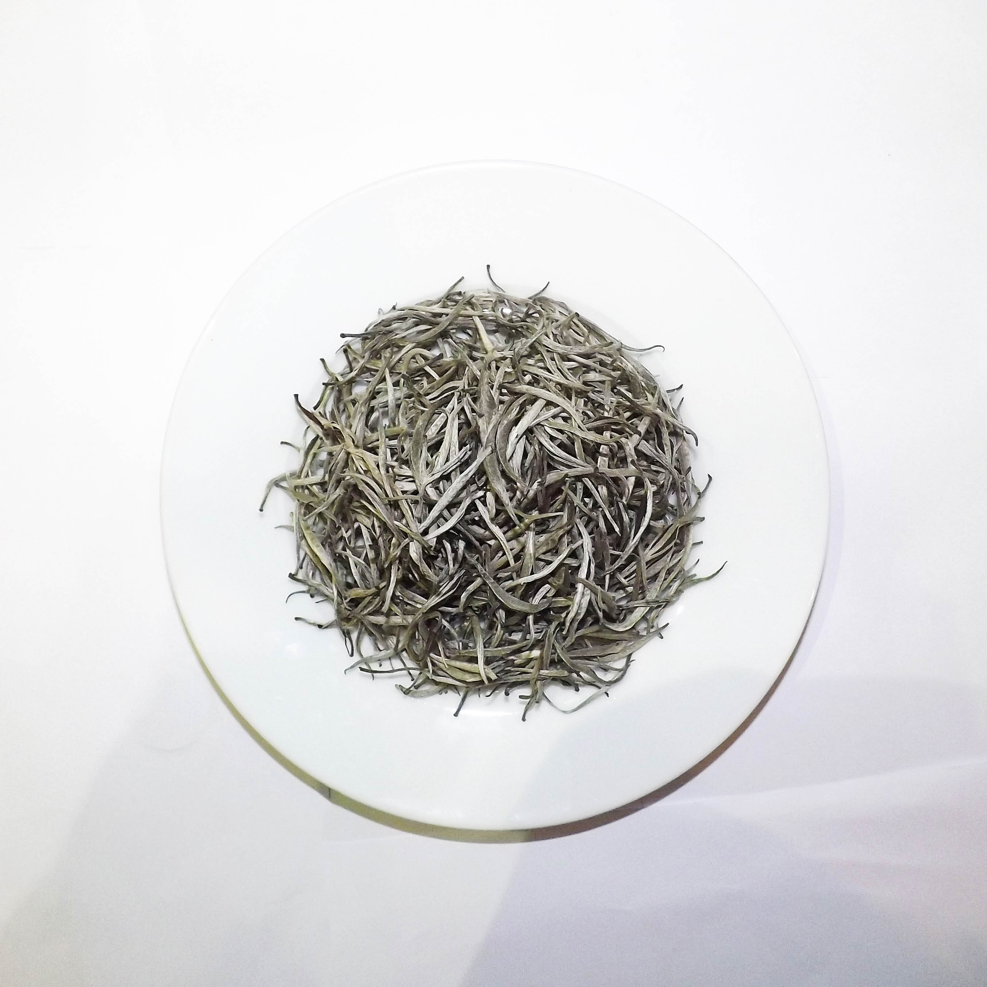 Organic White Tea - Wholesale High Quality  Organic Silver Needle White Tea Good for Beauty and Health