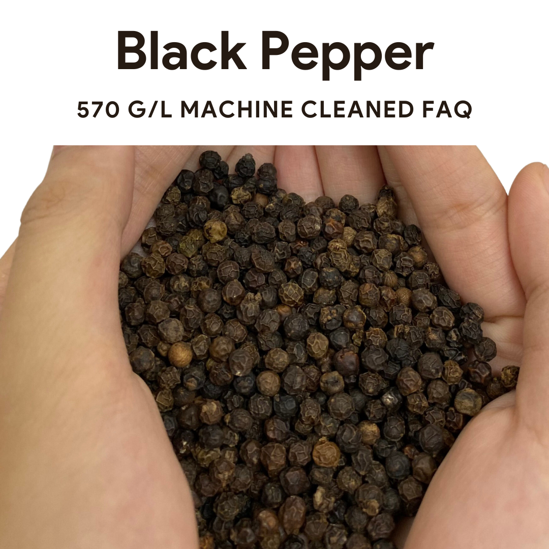 Black Pepper -  Cheap Price Wholesale Hot Selling Black Pepper 570 G/L Cleaned For Cooking