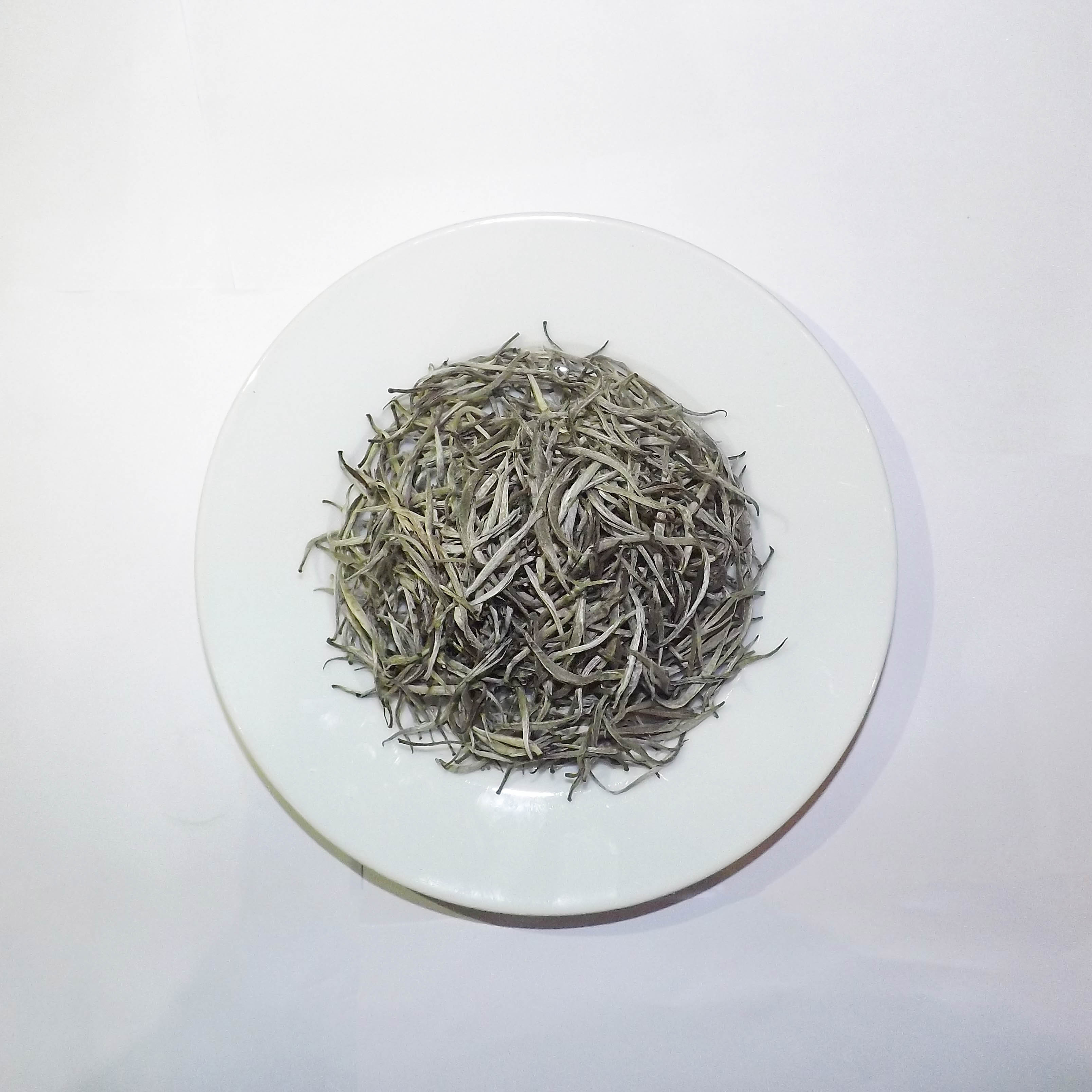 Organic White Tea - Wholesale High Quality  Organic Silver Needle White Tea Good for Beauty and Health