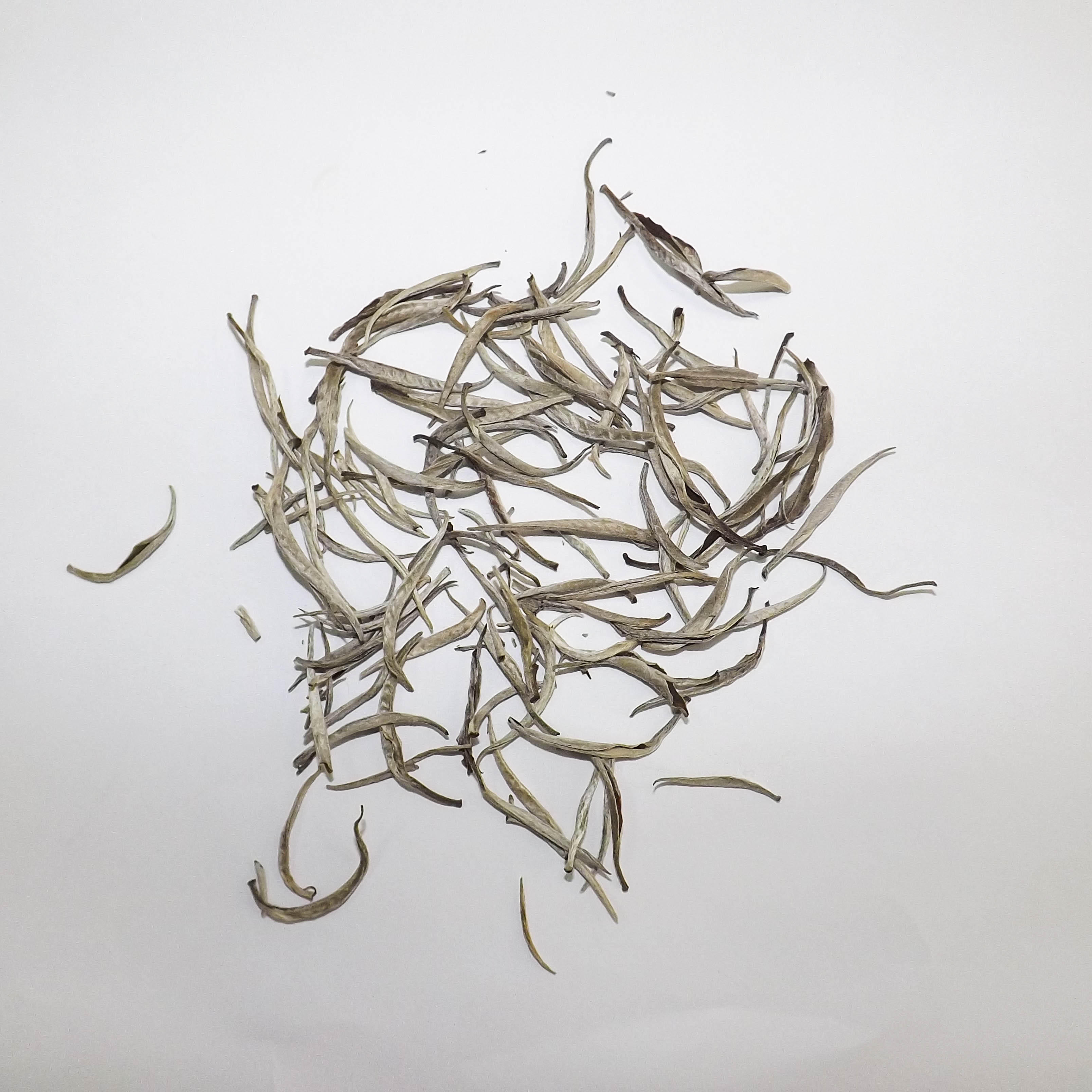 Organic White Tea - Wholesale High Quality  Organic Silver Needle White Tea Good for Beauty and Health