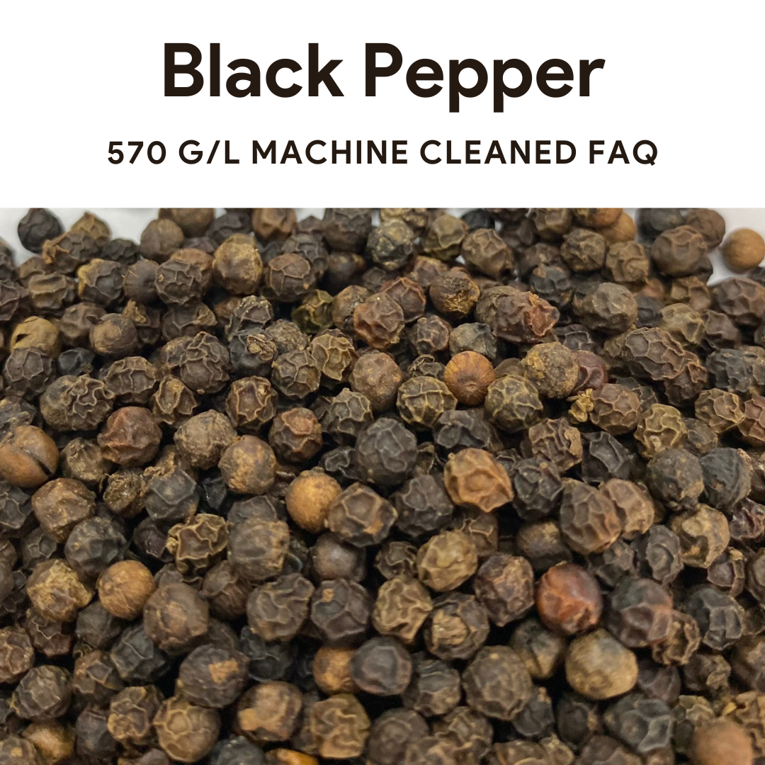 Black Pepper -  Cheap Price Wholesale Hot Selling Black Pepper 570 G/L Cleaned For Cooking