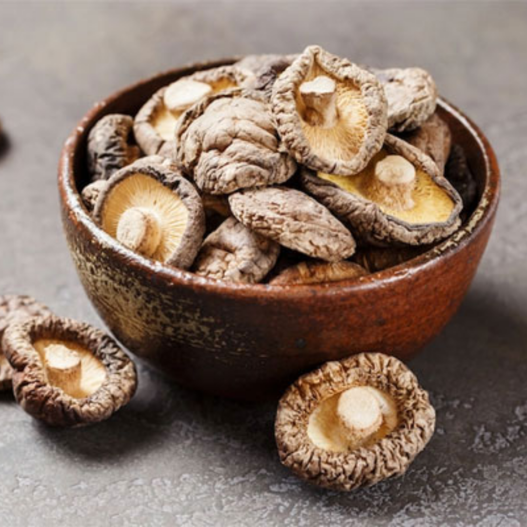 Hot Selling 100% High Quality Organic Natural Brown Mushrooms for Cooking from Viet Nam Mushroom Exporters