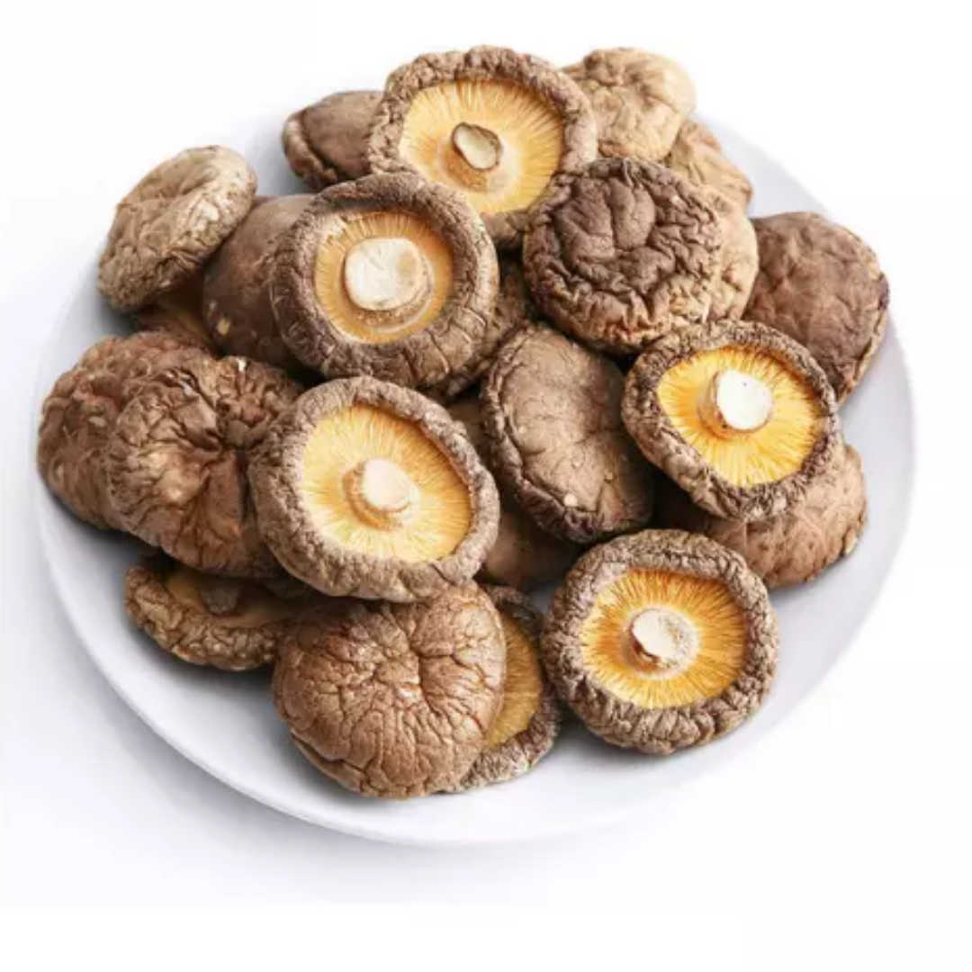 Hot Selling 100% High Quality Organic Natural Brown Mushrooms for Cooking from Viet Nam Mushroom Exporters