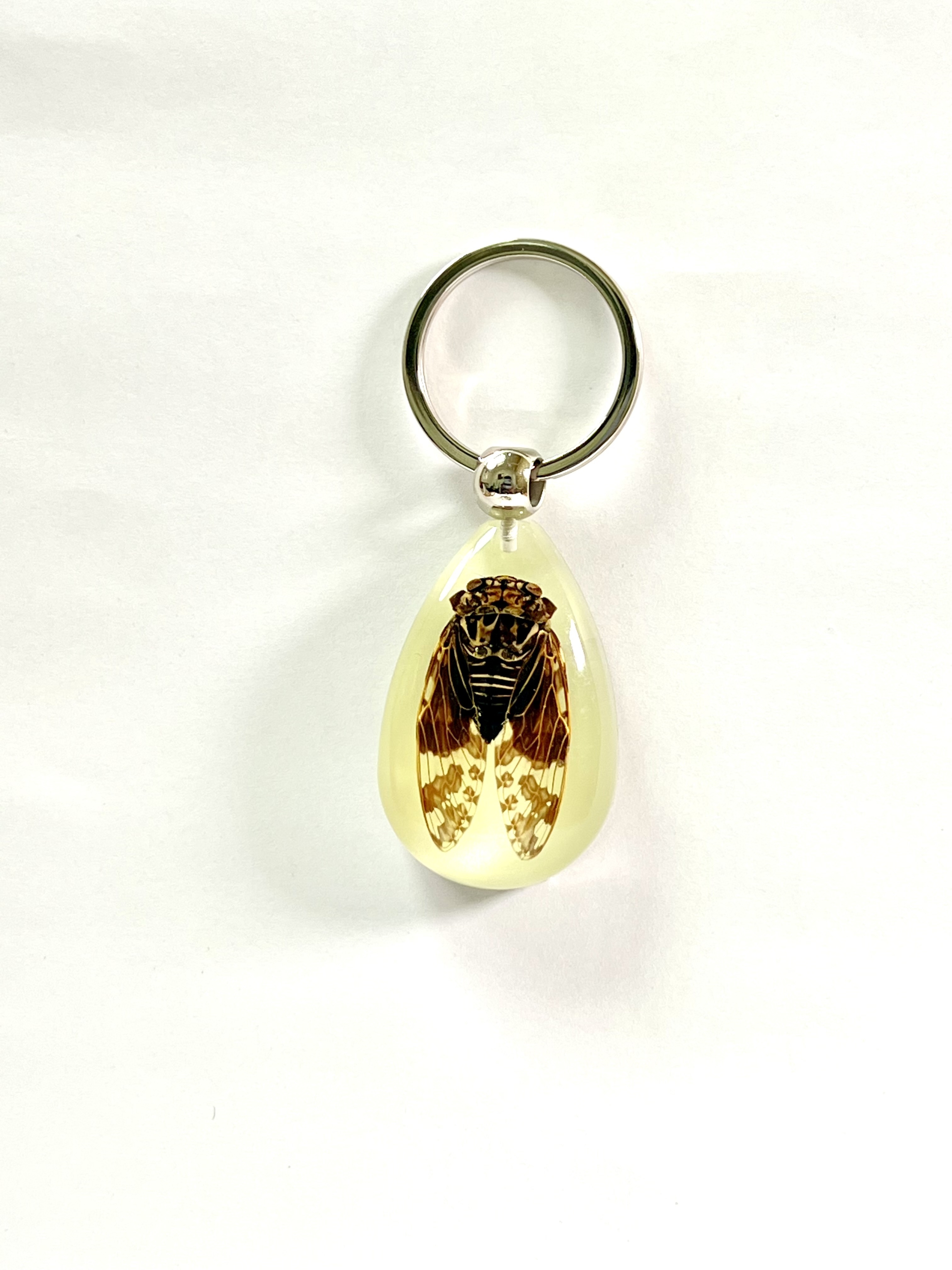 High quality resin key chain glow in dark keychain cicada cricket crab red bugs real insect keychain