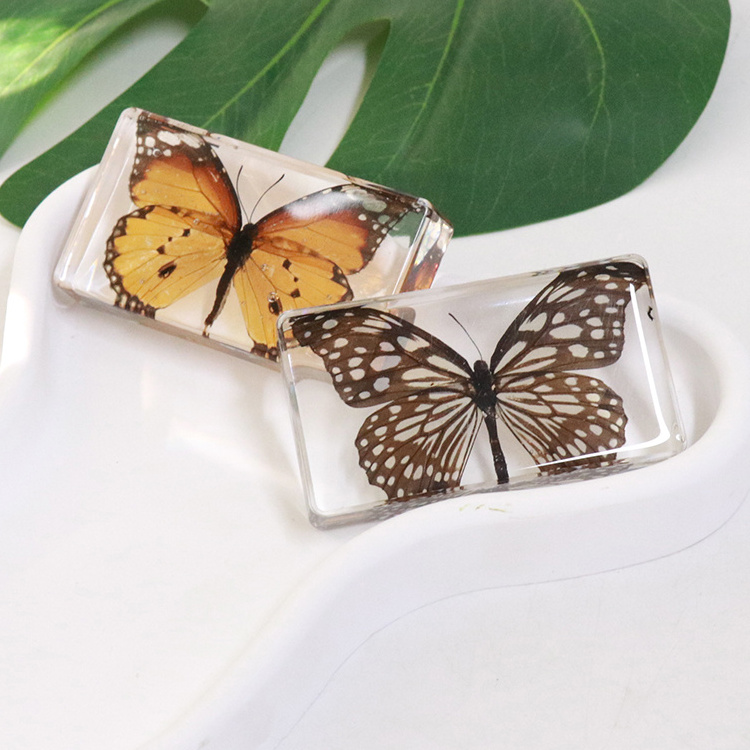 Custom Artificial Butterfly Insect Resin Crafts Teaching Tools and Home Decoration Paperweight Elegant Butterfly Design