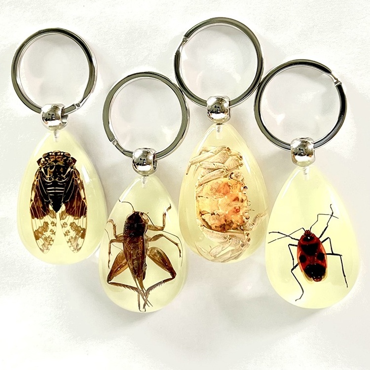 High quality resin key chain glow in dark keychain cicada cricket crab red bugs real insect keychain