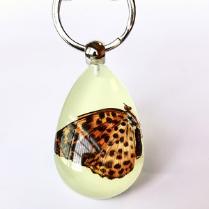 Big Size Real Butterfly keychain Acrylic Resin Key Ring Amber Glow Keychain