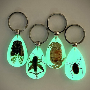 High quality resin key chain glow in dark keychain cicada cricket crab red bugs real insect keychain