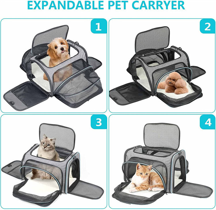 stock cat carrier for two cats hot sale large pet carrier backpack big cat carrier