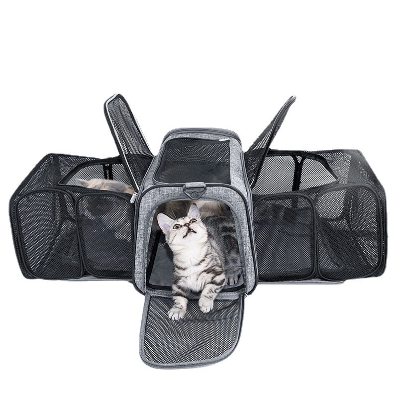 Expandable Airline Approved Cat Dog Pet Carrier for Small Medium Cats Puppies Soft Sided Collapsible Travel Puppy Carrier