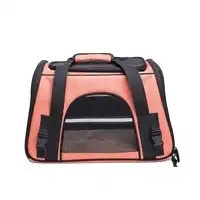 Wholesale Foldable Cat Dog Carrying Pet Carrier Bag For Outdoor