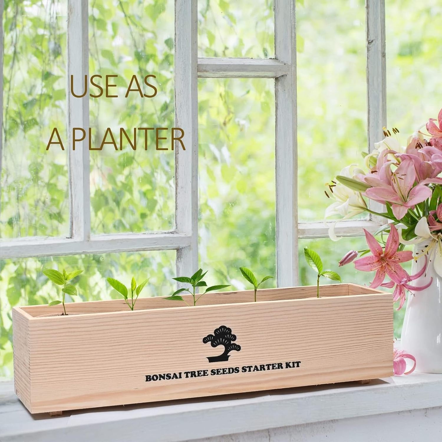 Wholesale Complete Plant Bonsai Tree Tools Kit with Wooden Box Gardening Plant DIY Gift for Kids Adults