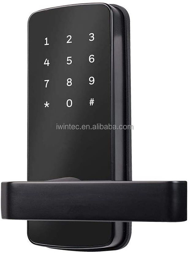 IWINTEC Smart Lock BLE Keyless Touchscreen Digital Door Lock Smart Deadbolt Fully Automatic (with Handle)