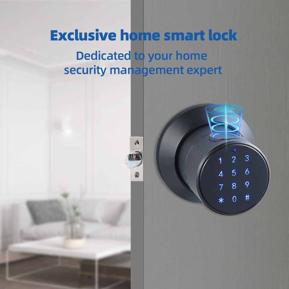 Tuya Smart Door Lock knob single latch adjustable 60/70mm