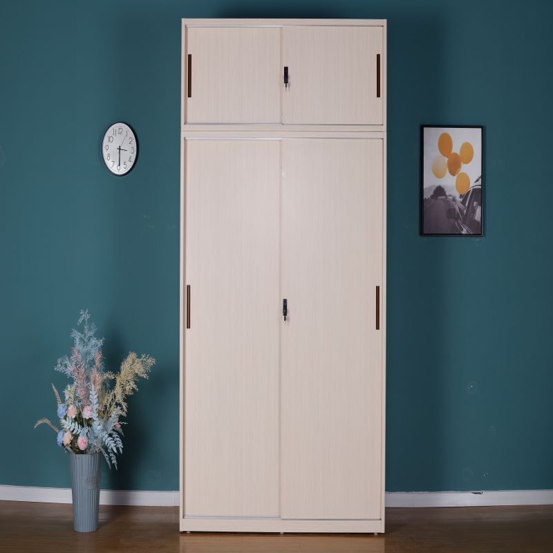 Cheap Furniture Pure Color armoire de rangemen Metal Closet 2Sliding Door Bedroom Steel Clothes Transfer Storage Locker Wardrobe