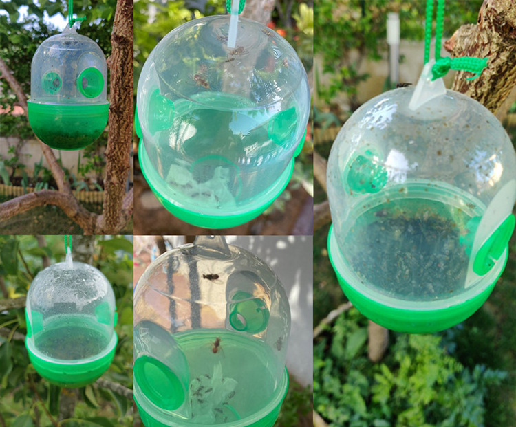 Plastic green insect wasp outdoor bee catchers hanging fly sticky trap device