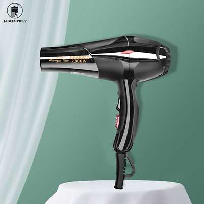 Professional Hair Dryer 2300W AC Motor Household Hot and Cold Air Negative Ion Hair Dryer 3 Heat Settings Blow Dryer