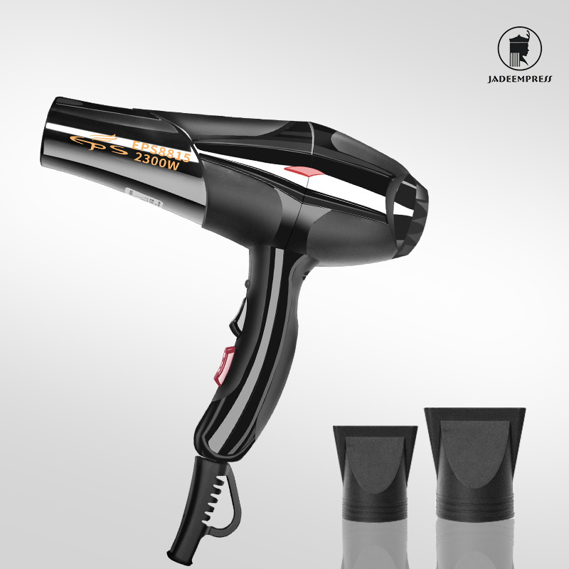 Professional Hair Dryer 2300W AC Motor Household Hot and Cold Air Negative Ion Hair Dryer 3 Heat Settings Blow Dryer