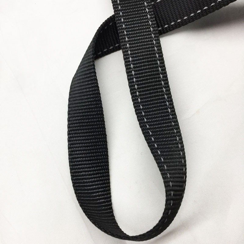 Stock Factory Outlet 20mm 25mm 38mm Thicker Nylon Webbing Two Reflective Ribbons Pet Webbing Tape Strap